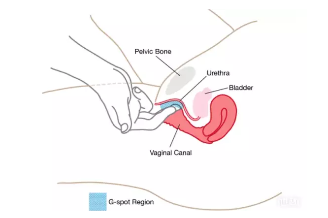 怎么撩她G點，安全又健康(圖1)