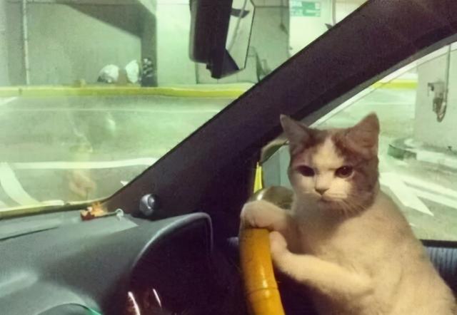 年輕人，別把無(wú)痛人流當(dāng)避孕(圖2)