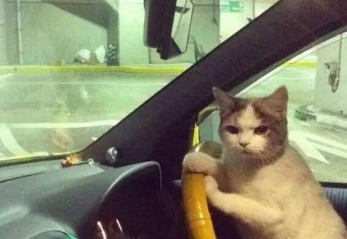 大尺度展會，提前小劇透！(圖1)